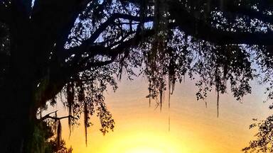 Beautiful southern sunset
#nature