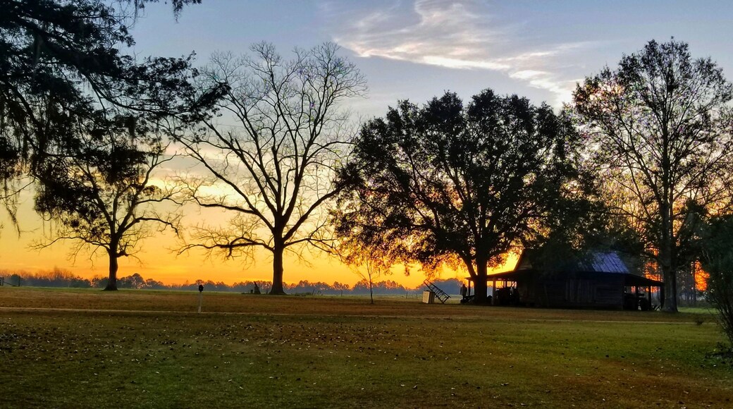 Sunrise - South Georgia style @ The Family farm