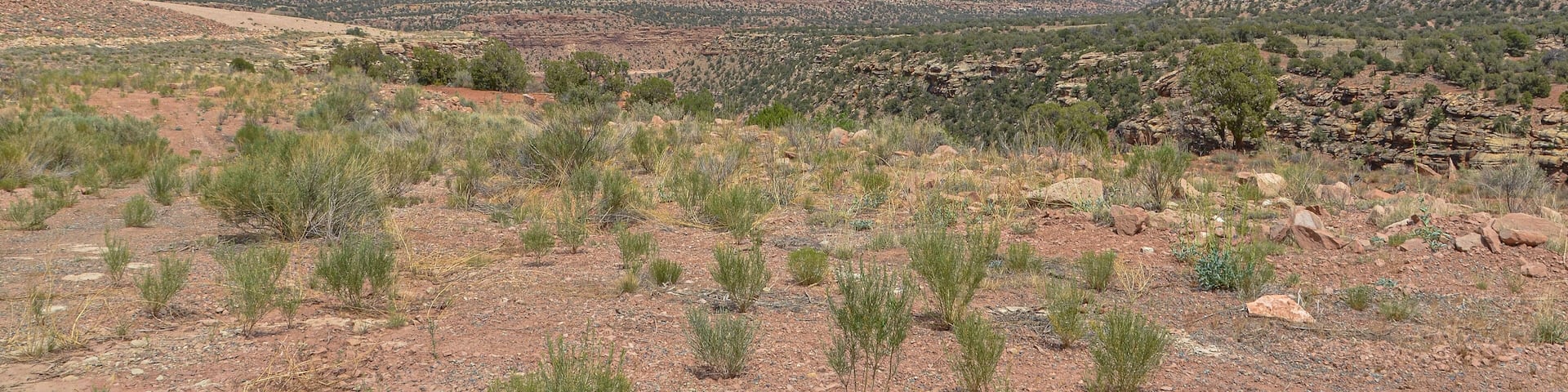 scenic view of San Miguel river valley from the former site of abandoned mining town Uravan (Montrose County, Colorado)