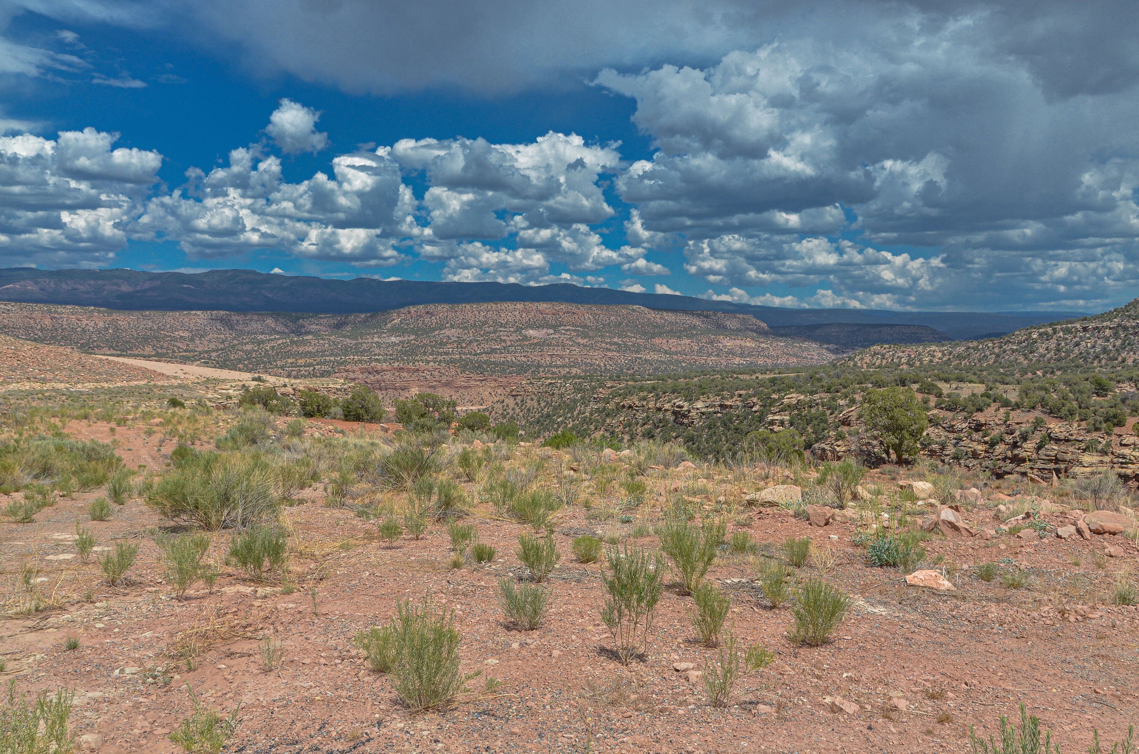 A desert landscape with sparse vegetation, rocky terrain, and distant mountains under a partly cloudy sky.
