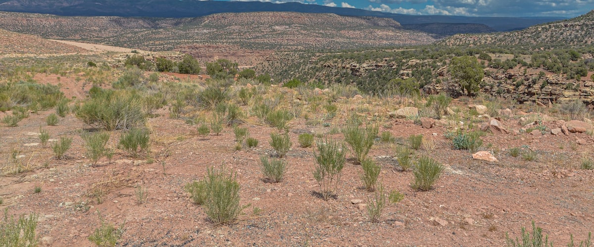 A desert landscape with sparse vegetation, rocky terrain, and distant mountains under a partly cloudy sky.