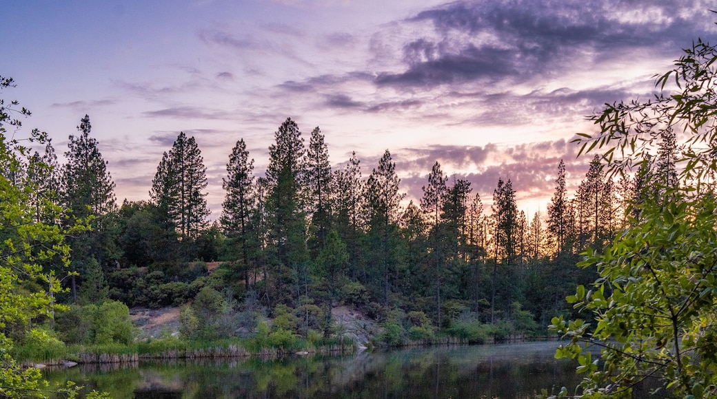 Nevada City