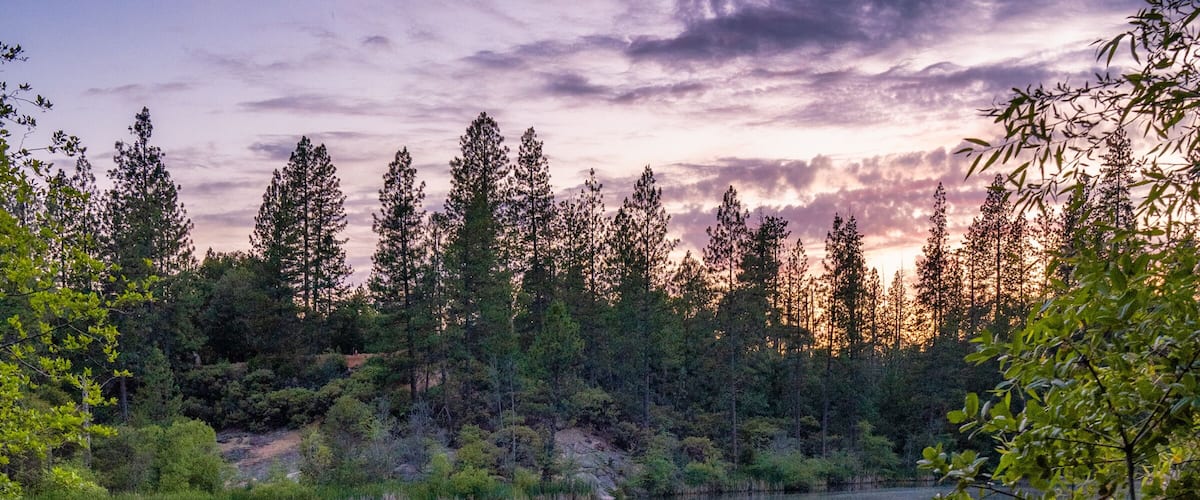 Reflections On Hirschman Pond in Nevada City, California