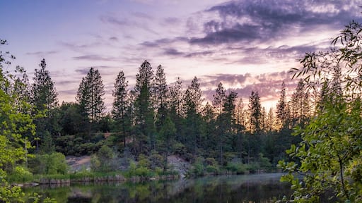 Nevada City