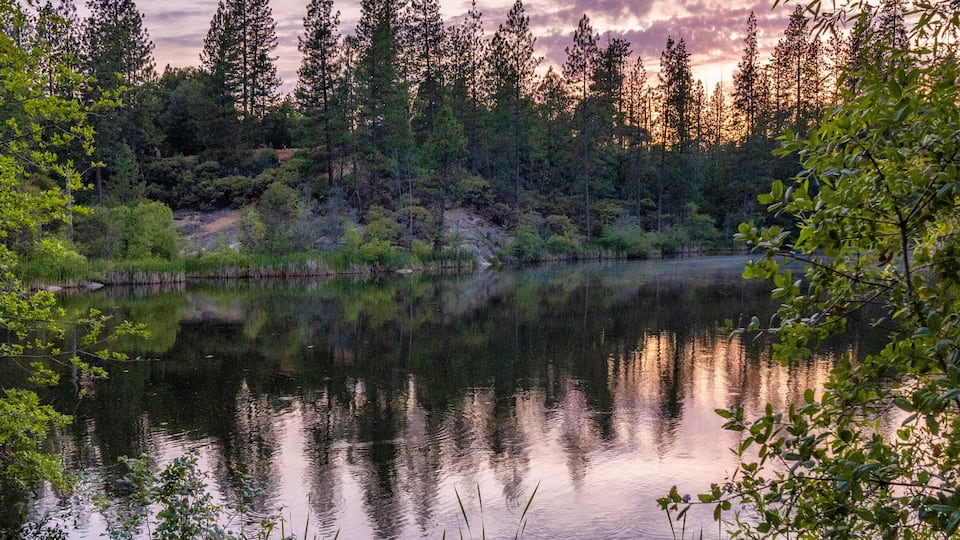 Reflections On Hirschman Pond in Nevada City, California