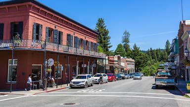 EAA4P0 Stores and bars on Broad Street in the old gold mining town of Nevada City, Northern Gold Country, California, USA