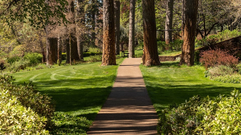 Path inside Empire Mine State Park, Grass Valley, California, USA, in the spring