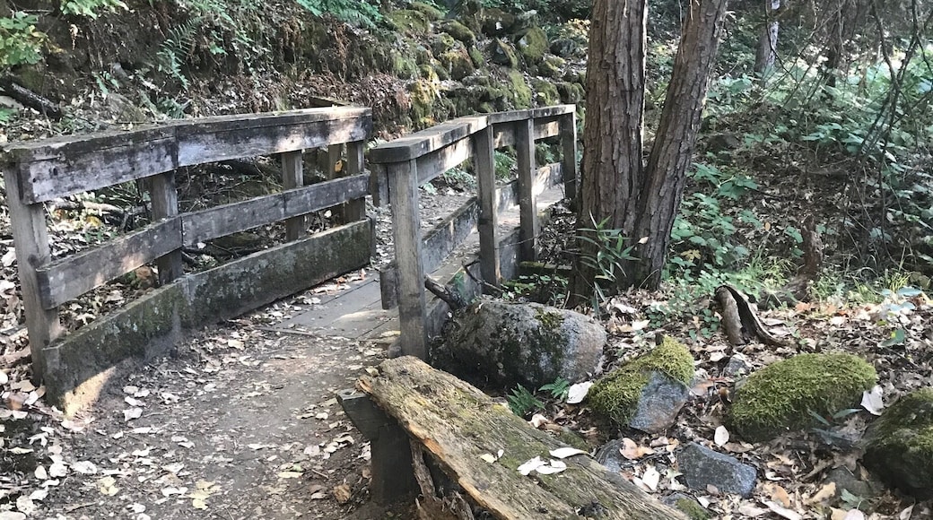 Love nature. #TakeAHike