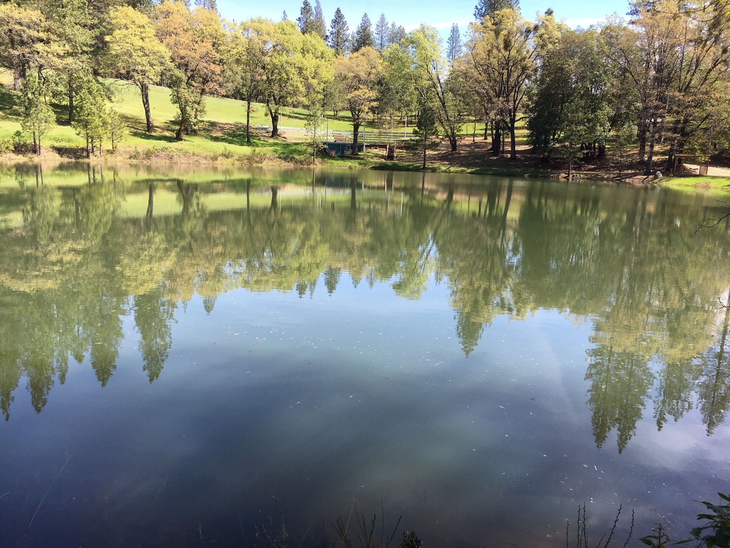 Peaceful, tranquil and serene #aquatrove