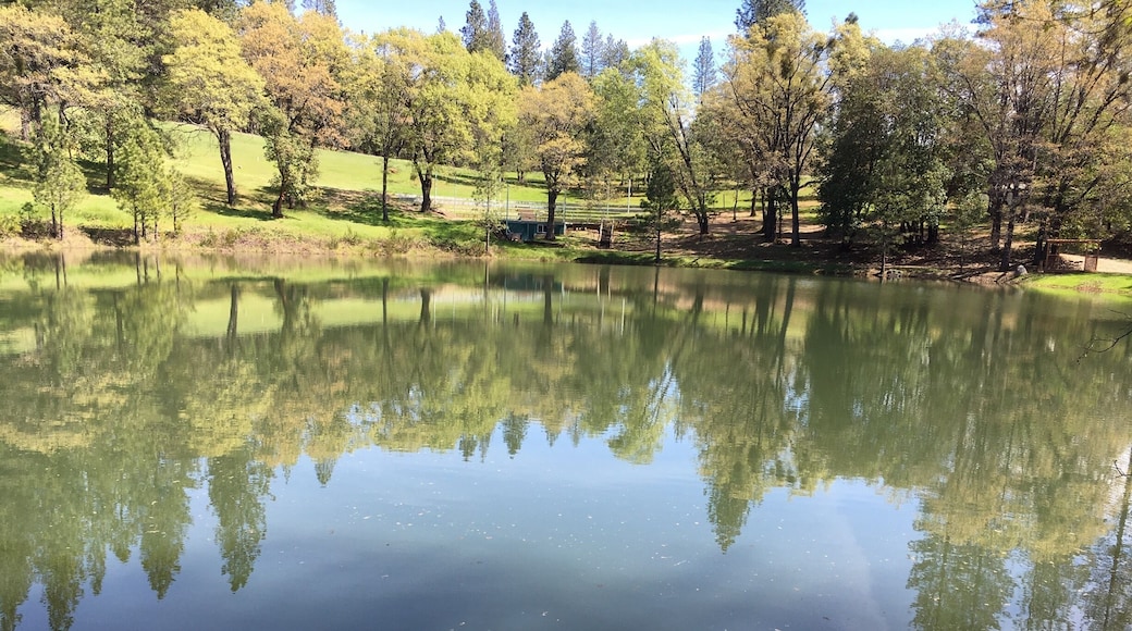 Peaceful, tranquil and serene #aquatrove