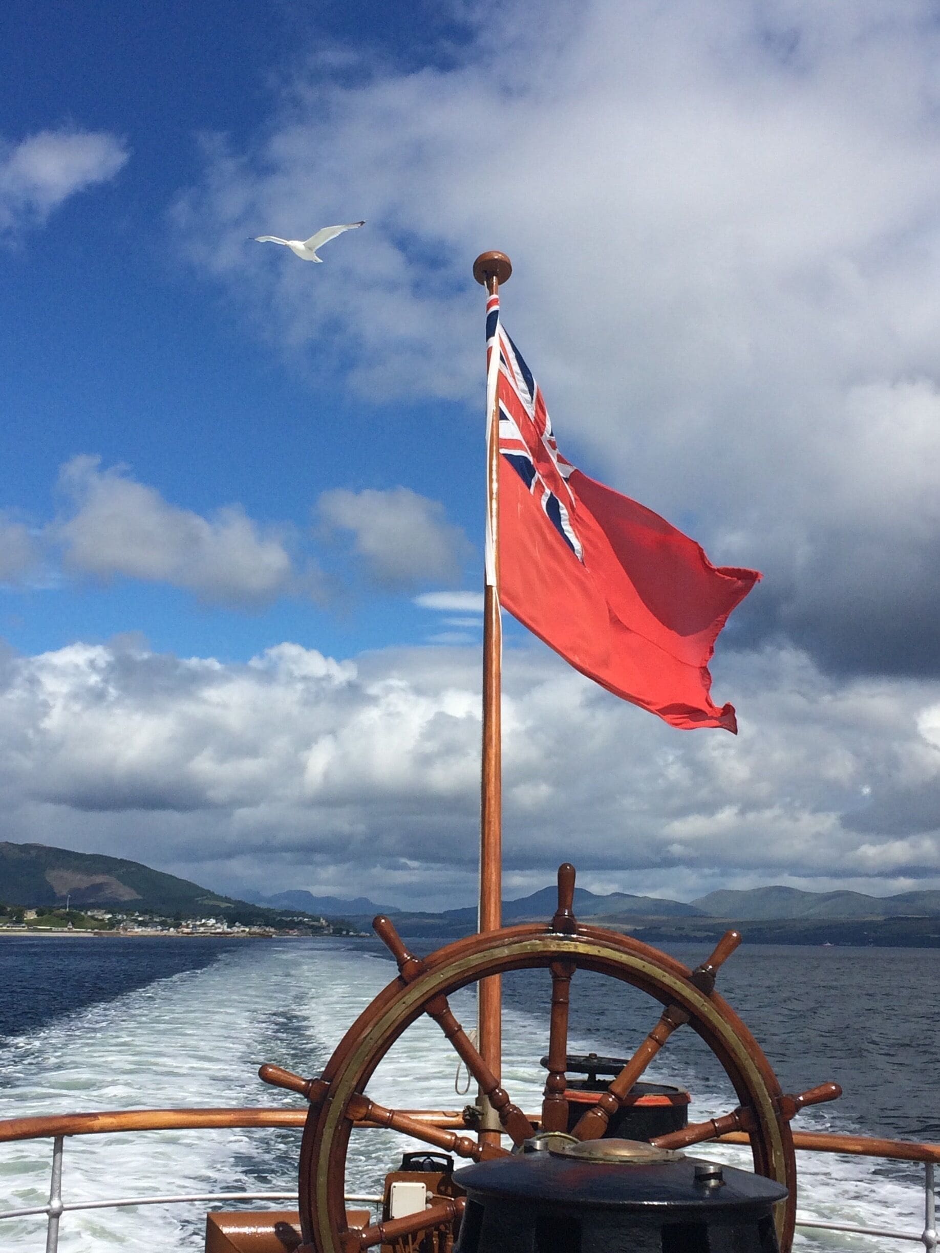 A birdie following the boat !