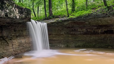 Indiana's Rock Rest Falls