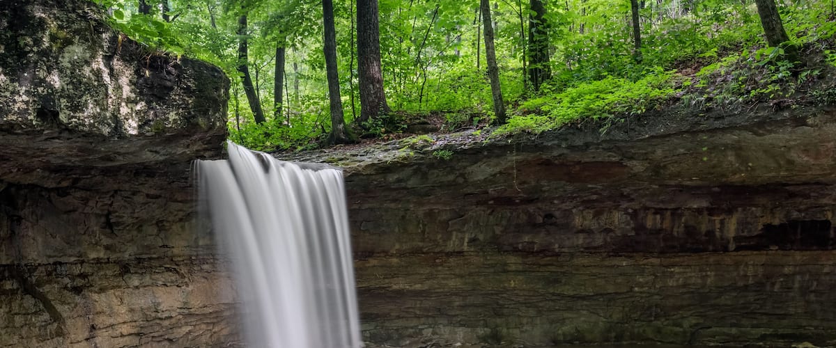 A waterfall in a forested area with a muddy pool at its base.