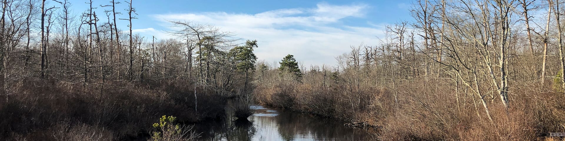Cloud reflections on the river at Connetquot River State Park Preserve in Oakdale, Long Island, New York