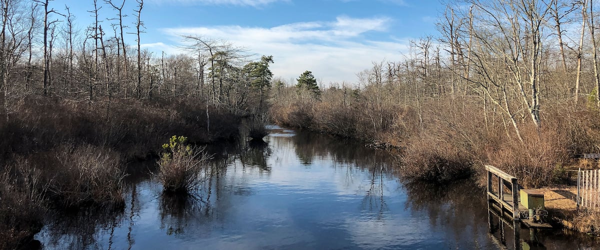 A calm river flanked by leafless trees and a wooden bridge.