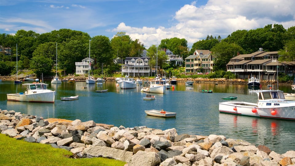 A marina with various boats docked, surrounded by houses and trees.