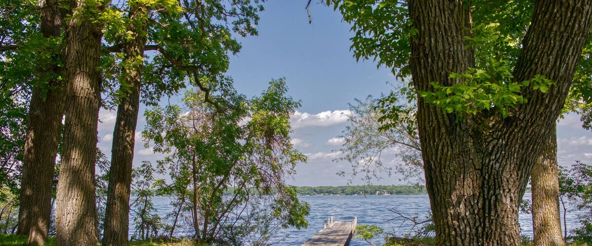 A lakeside path with trees and a wooden dock extending into the water.