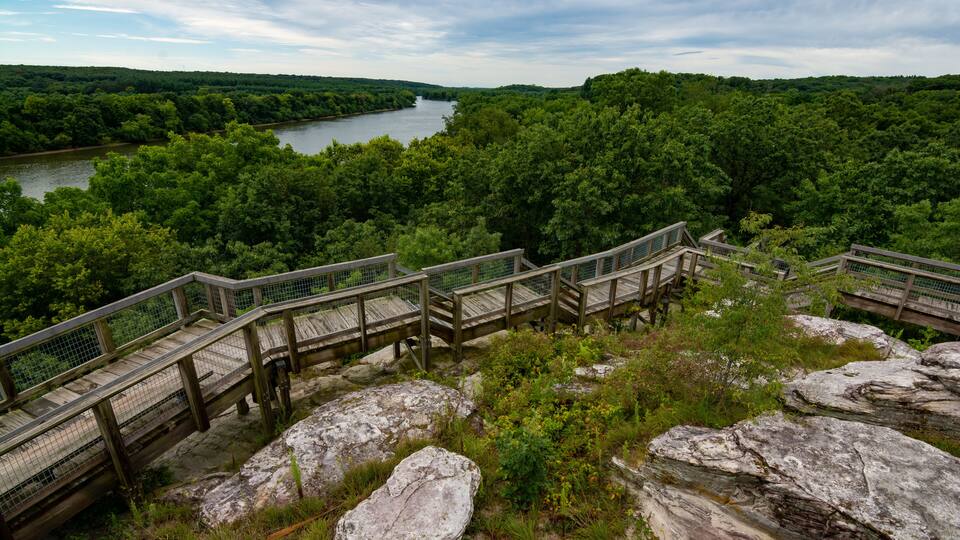 A wooden bridge over a river surrounded by dense forest.