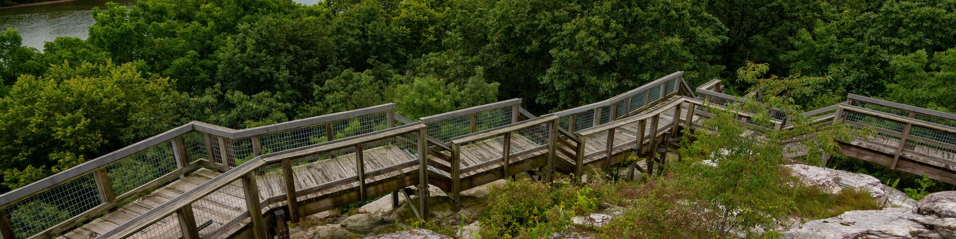 A wooden bridge over a river surrounded by dense forest.