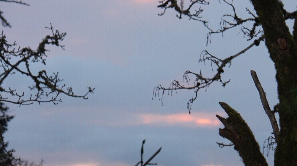 Just waiting for a comet!