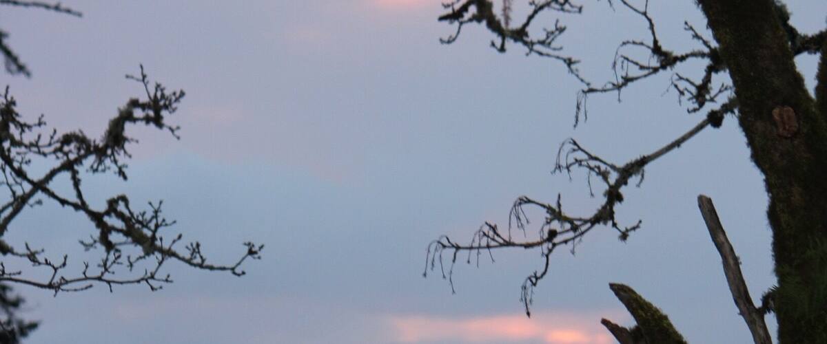 Just waiting for a comet!