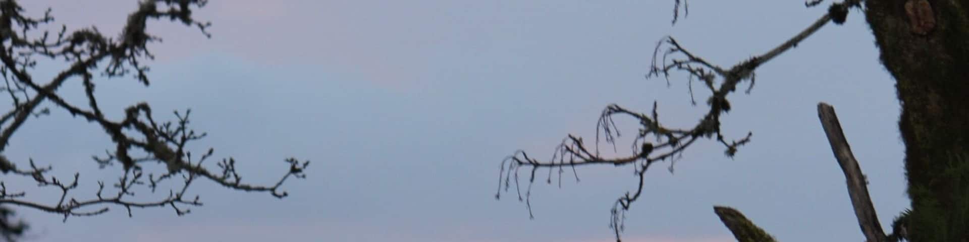 Just waiting for a comet!