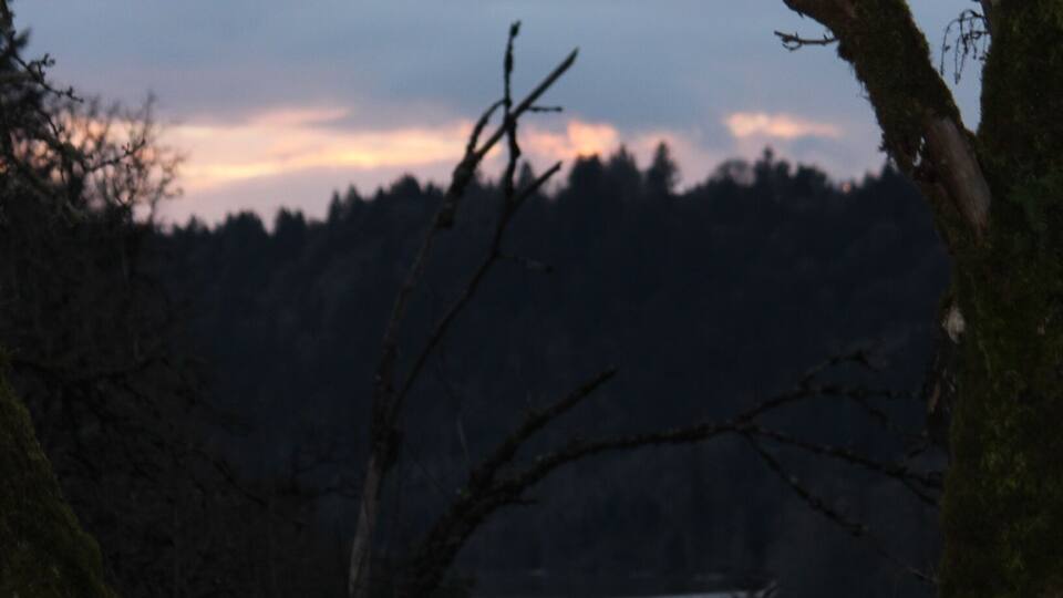 Just waiting for a comet!