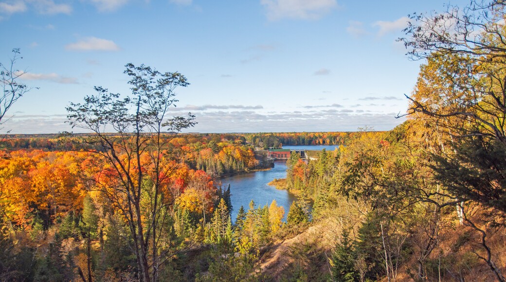 ออสโคดา