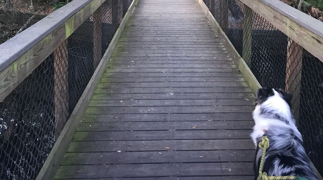 One of the best RV parks yet!! Great price, great location, fantastic wild life right outside your door!