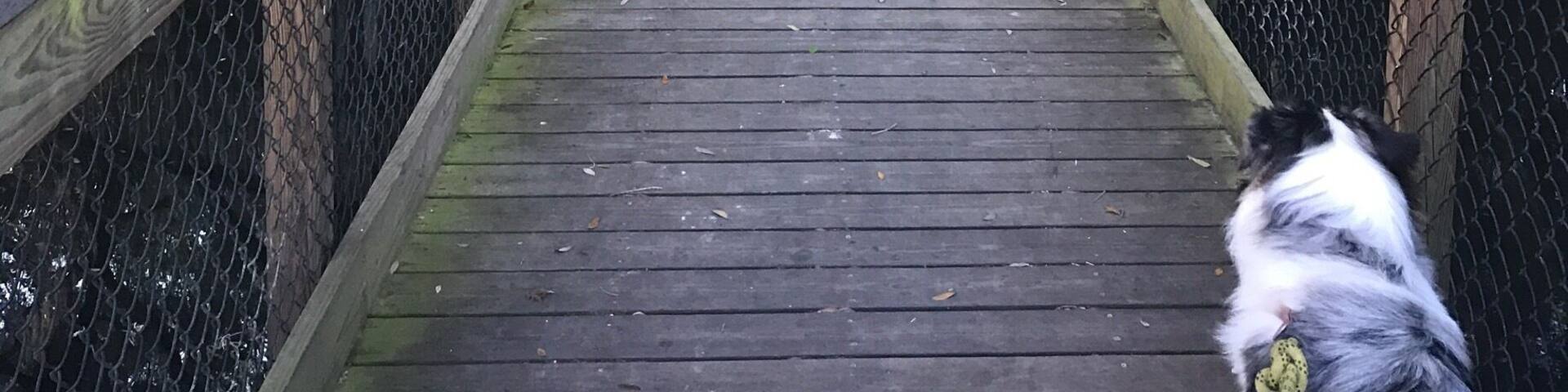 One of the best RV parks yet!! Great price, great location, fantastic wild life right outside your door!