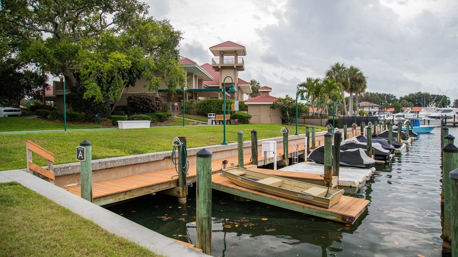 Osprey showing a bay or harbor