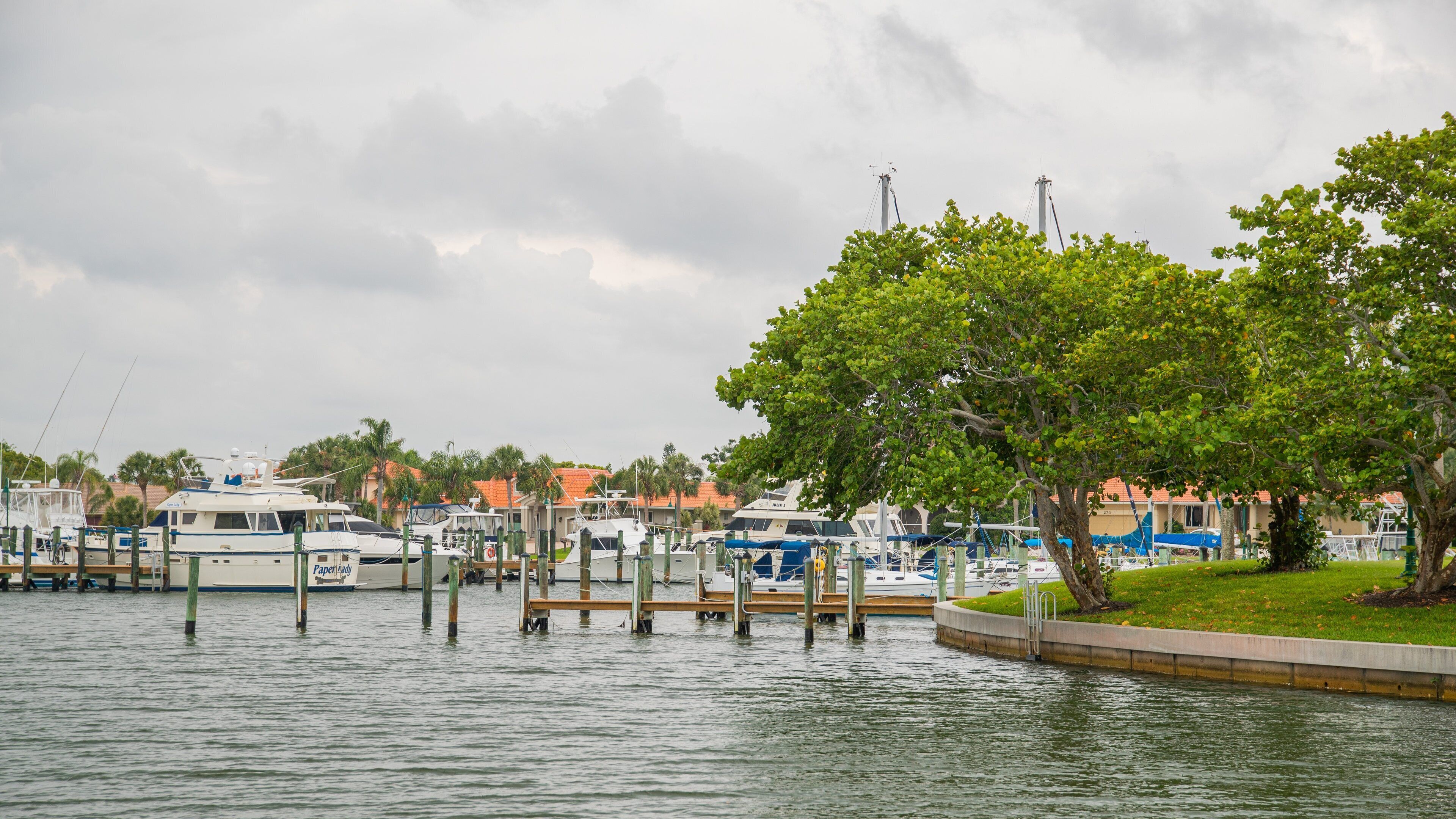 Osprey showing a bay or harbor