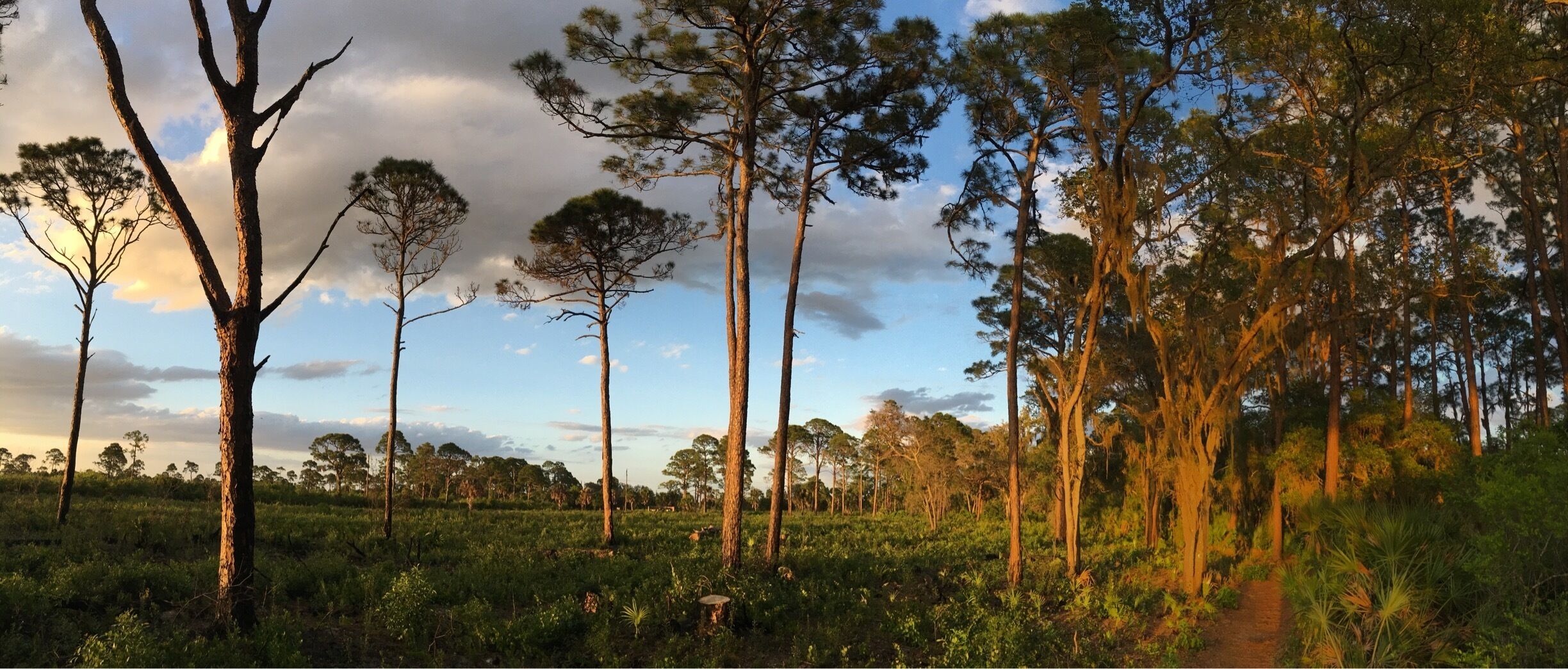 Great national park to take your RV and lots of hiking and biking trails.
