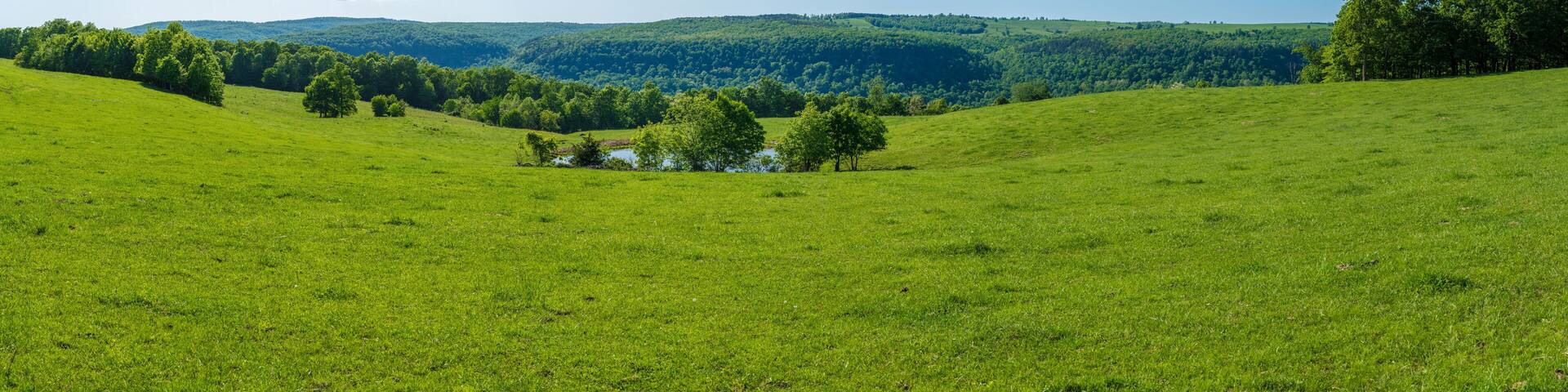 Beautiful panoramic farm land landscape view in northwest arkansas, ozark mountains