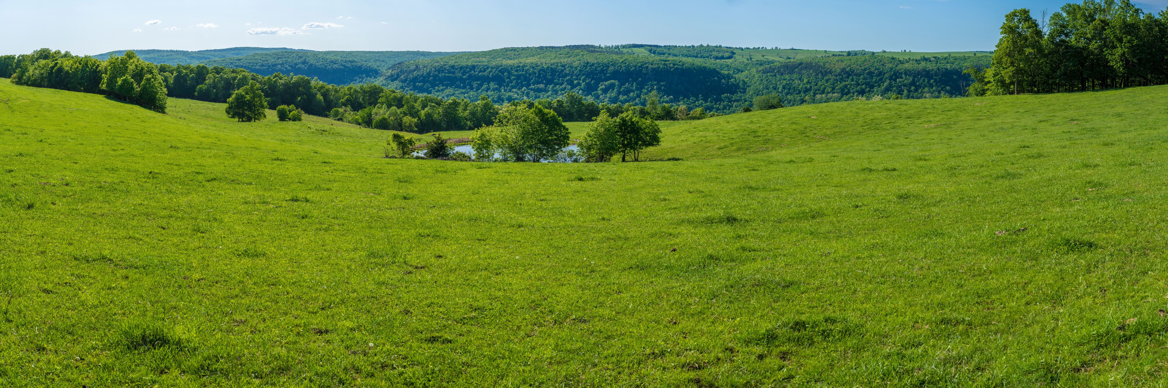 A green field with trees and a small building in the distance.