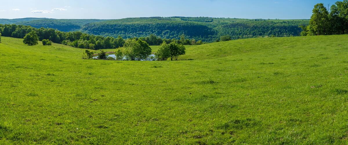 A green field with trees and a small building in the distance.