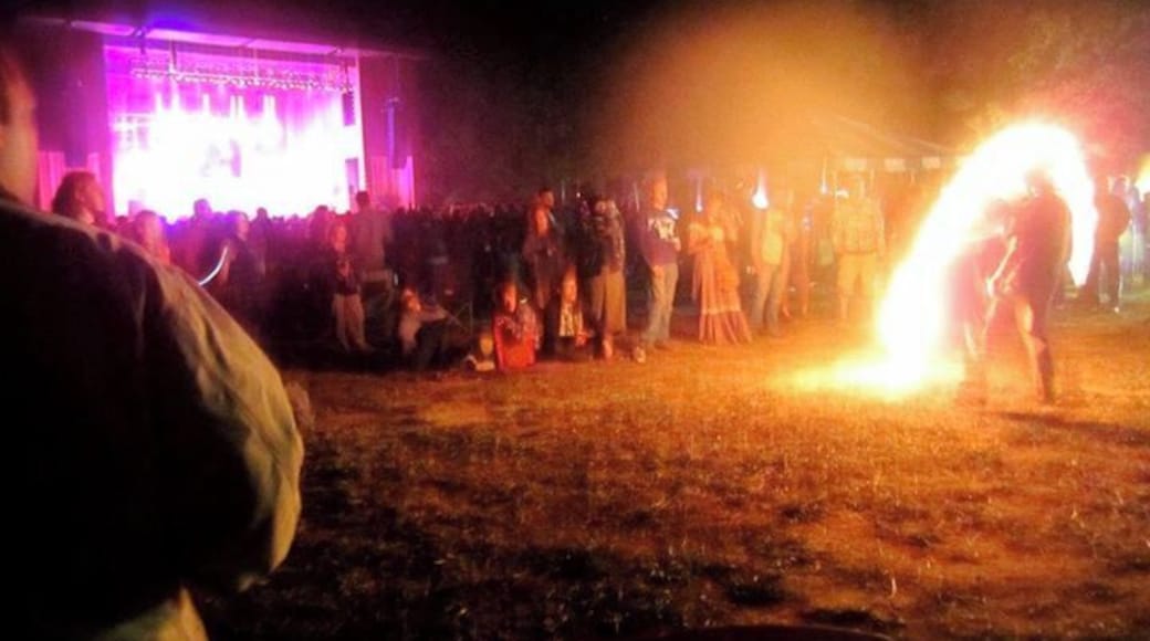 Harvest festival is in the fall and one of the best ones. If you like bluegrass and the mountains, this is your spot. Very chill and awesome music and set up.