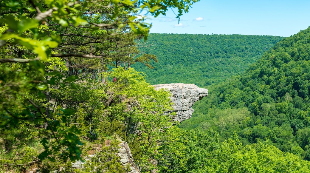 โอซาร์ก