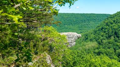A dense forested valley with a prominent rocky outcrop.