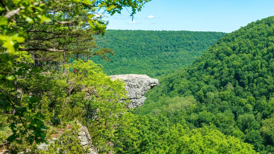 A dense forested valley with a prominent rocky outcrop.