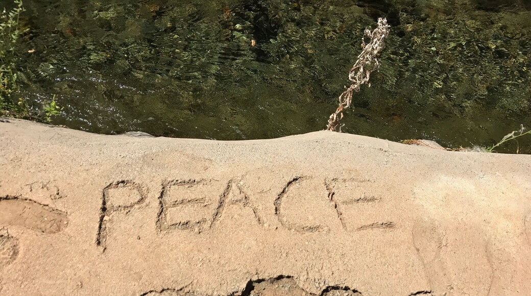 Cool reminder set in concrete