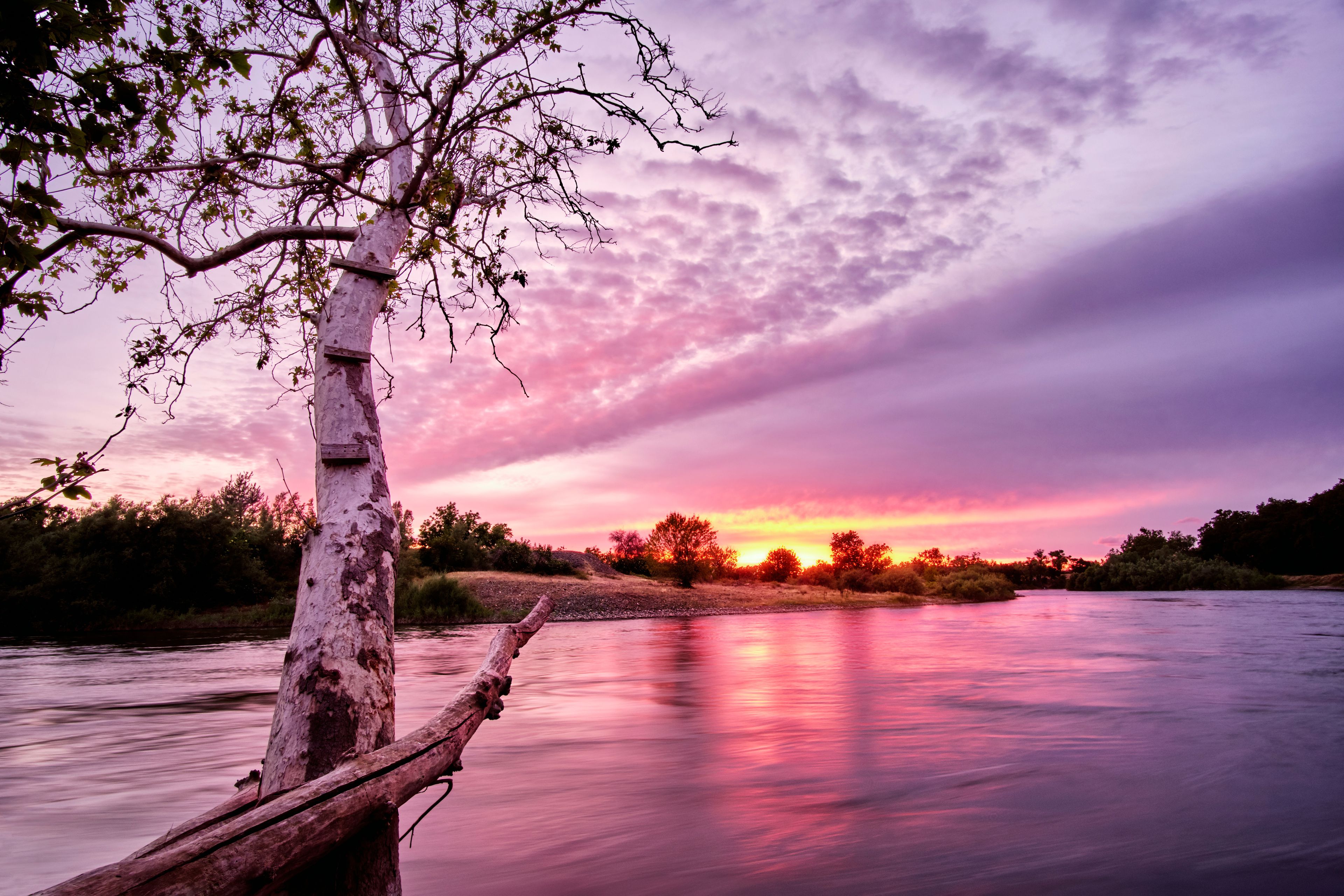 Vibrant landscape of the Feather RIver in Butte County, California with a pink and orange sunset in the background.