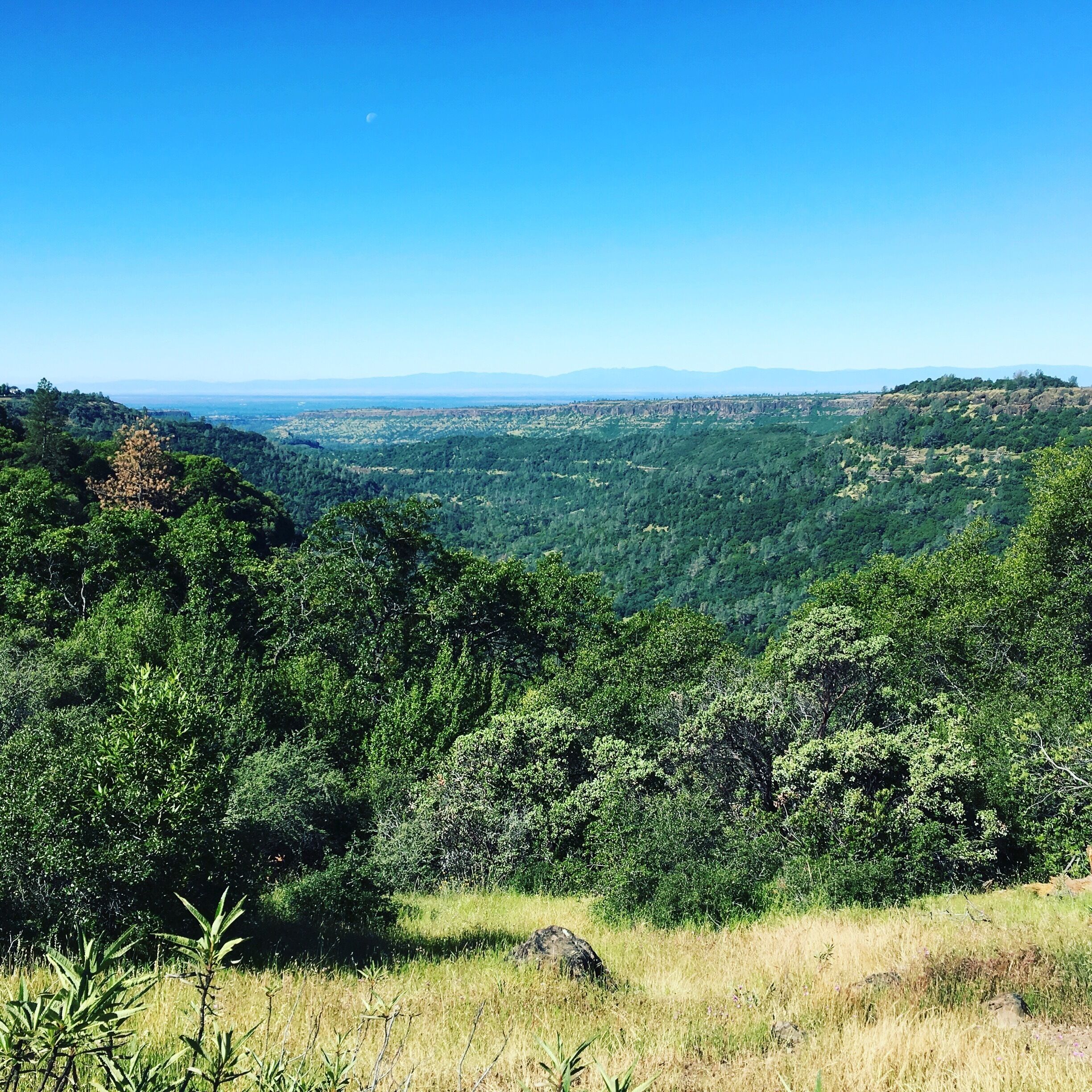 Shot from high up the canyon looking into Chico, ca