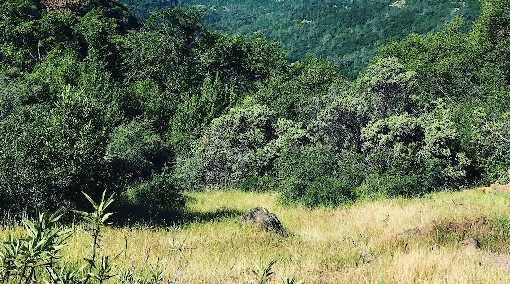 Shot from high up the canyon looking into Chico, ca