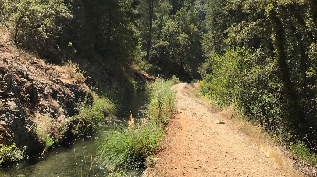 The flumes in Paradise is a hidden serpentine sliding Disneylandish sorta place