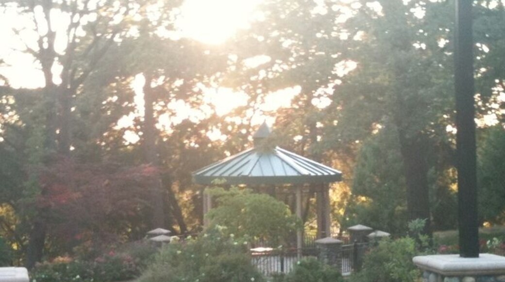 Great views of Butte Canyon