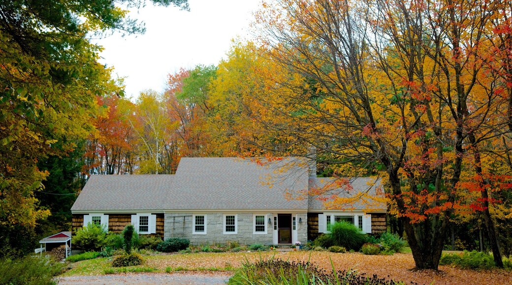 Peterborough som inkluderer høstfarger og hus