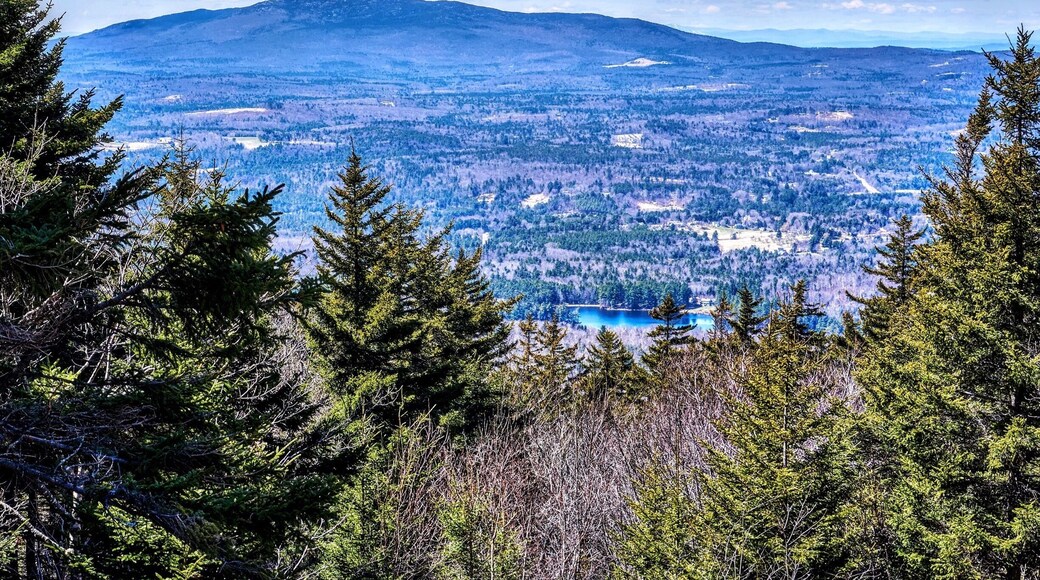 Great hike that's dog friendly. Taken from the summit with Mt. Monadnock in the distance.