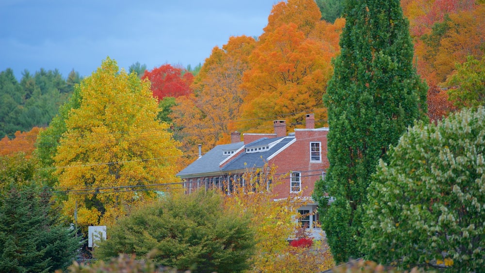 Ein Haus, umgeben von Bäumen in Herbstfarben.