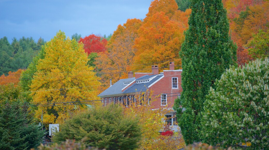 Peterborough fasiliteter samt høstfarger